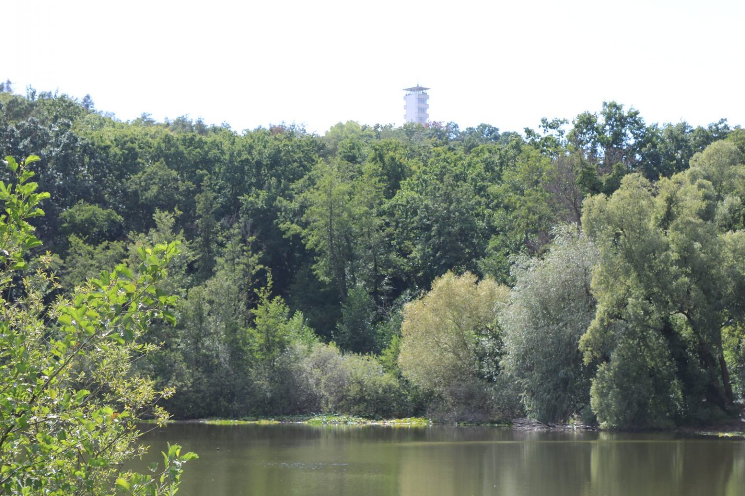 Müggelturm Berlin Geschichte zum Anfassen