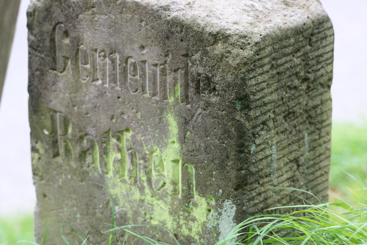 Sächsische Schweiz Ein Wanderparadies Geschichte zum Anfassen